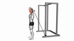 Band Overhead Single Arm Triceps Extension